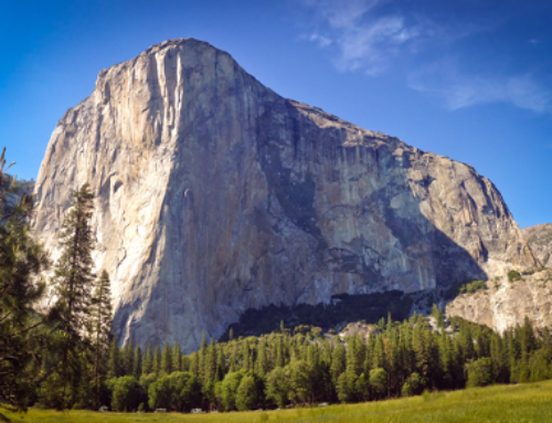 Just About Holding On